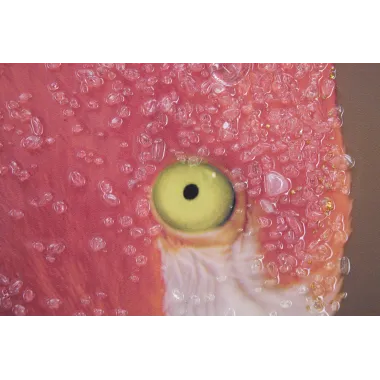 DRUK NA PŁÓTNIE Z APLIKACJAMI -A- FLAMINGO 80X3,8X120 cm